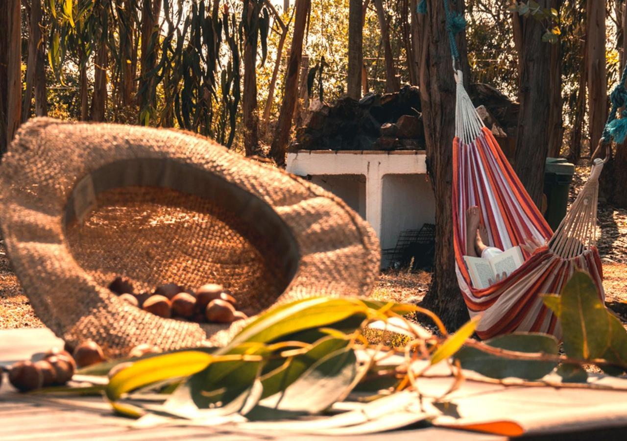 Cerro Da Fontinha Guest House Sao Teotonio Phòng bức ảnh